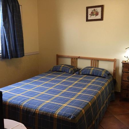 Guest House Ribatejo Салватерра-ди-Магуш Экстерьер фото