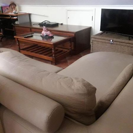 Guest House Ribatejo Салватерра-ди-Магуш Экстерьер фото