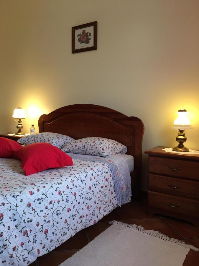Guest House Ribatejo Салватерра-ди-Магуш Экстерьер фото