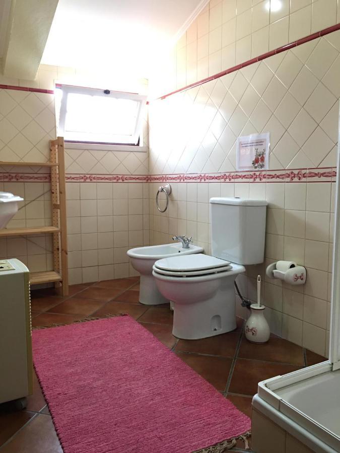 Guest House Ribatejo Салватерра-ди-Магуш Экстерьер фото